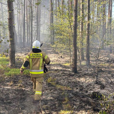 15 zastępów gasiło pożar lasu. Spłonęły 3 ha