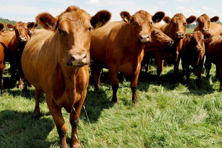 fot. Artur Kubat (ARiMR)